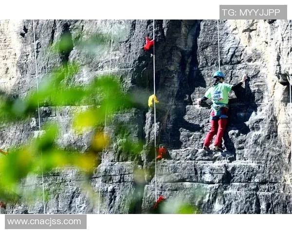 南京攀岩队速度之争引发广泛热议与关注的背后故事