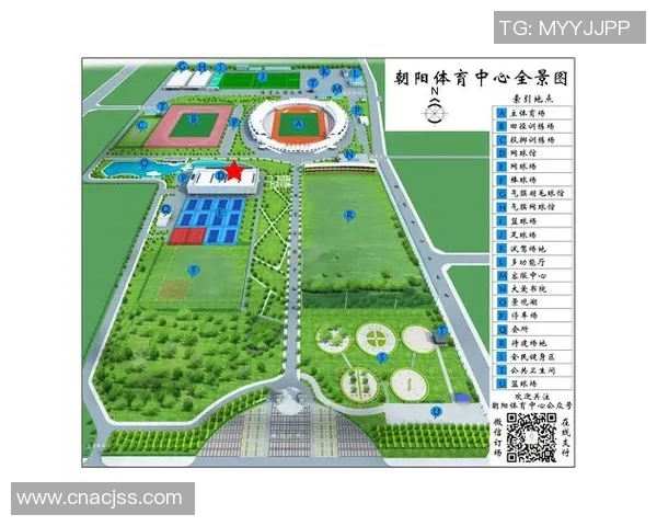 杭州网球队的拼搏历程与荣耀时刻全景回顾 杭州网球队的拼搏历程与荣耀时刻全景回顾