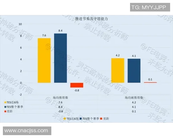 TES战队战术表现深度分析与数据解读探讨