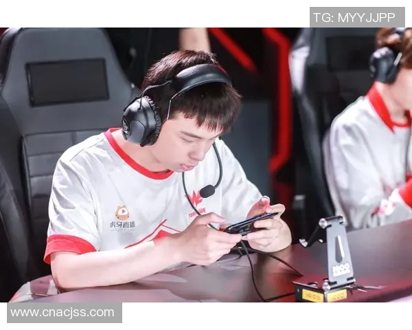 王者荣耀战队WE耐力分析与策略探讨助力团队更进一步 王者荣耀战队WE耐力分析与策略探讨助力团队更进一步