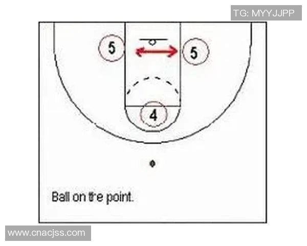 武汉排球队区域防守策略解析与战术应用探讨