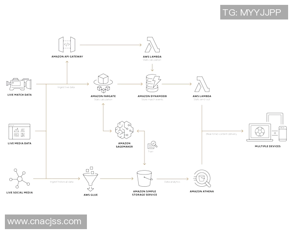 杭州排球队配合表现的数据分析与战术研究探讨
