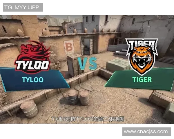 赛后复盘分析：WE与V5对决中的战术思路与关键时刻解析