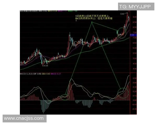 西安飞盘队中路突破战术解析与实战应用探讨