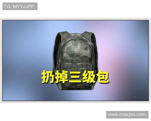 和平精英战术解析RNG战队如何构建整体压制体系与战术优势