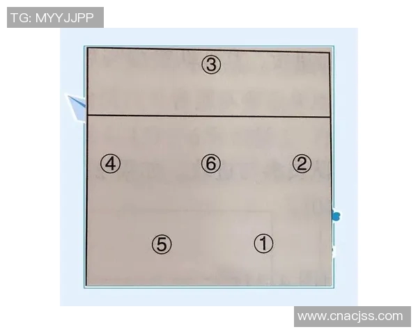 上海排球队的运营揭秘:深度解析排球背后的故事与策略 上海排球队的运营揭秘:深度解析排球背后的故事与策略